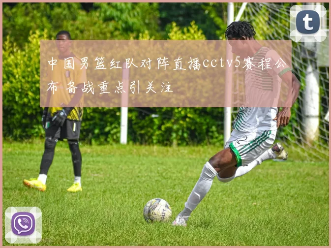 中国男篮红队对阵直播cctv5赛程公布 备战重点引关注
