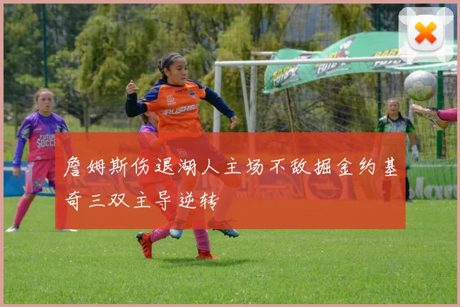 詹姆斯伤退湖人主场不敌掘金约基奇三双主导逆转