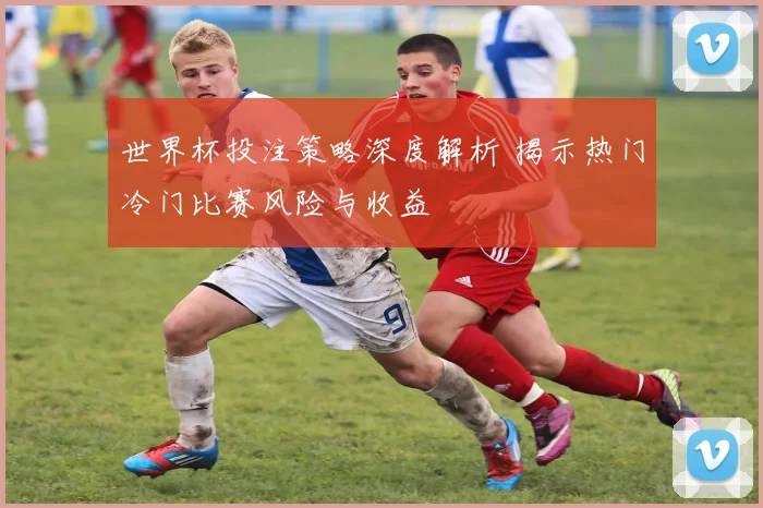 世界杯投注策略深度解析 揭示热门冷门比赛风险与收益