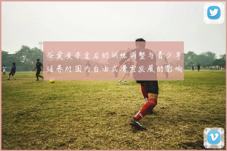 谷爱凌夺金后的训练调整与青少年培养对国内自由式滑雪发展的影响