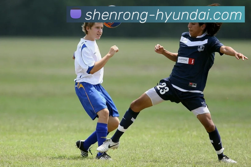 App Interface Preview